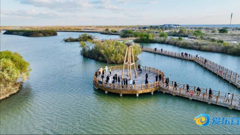 作的团队打 作的团队打