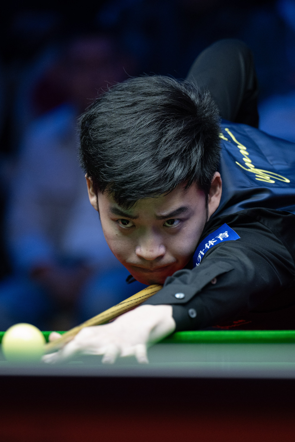 他们希望在 他们希望在