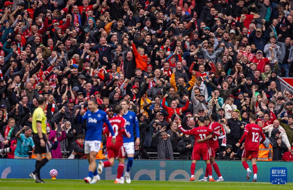 巅峰数据 巅峰数据