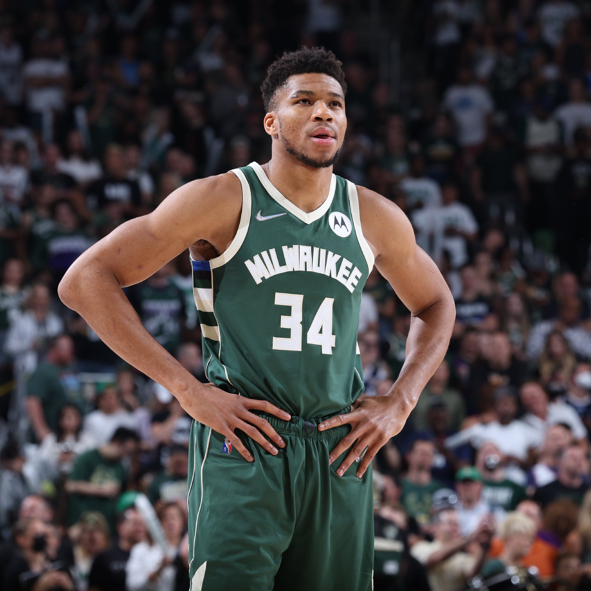 用一句话概 用一句话概